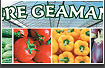 Баннер Sere Geamana