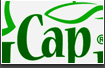 Логотип CAPLAND