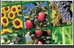 Буклет FOCARO AGRO
