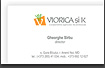 Стиль VIORICA si K